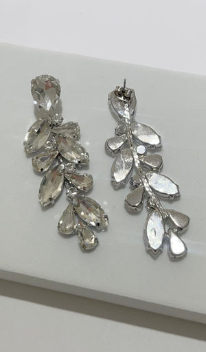 Oh my Elegance Silver Stones Drop Earrings