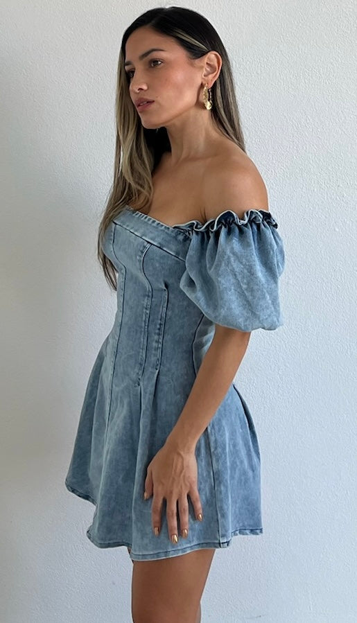 Denim Fit & Flare Zip Dress