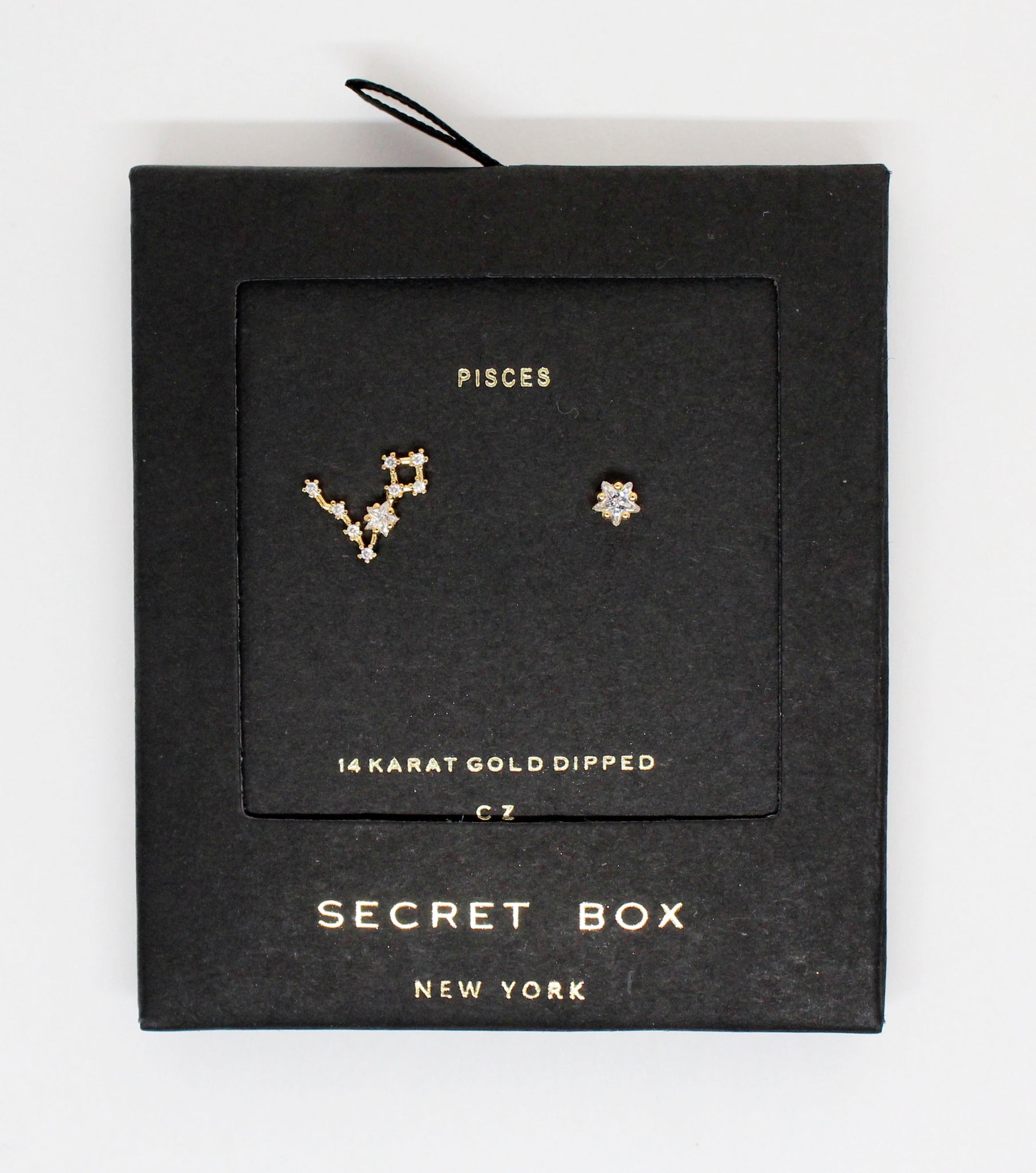 Horoscopes Secret Box Earrings
