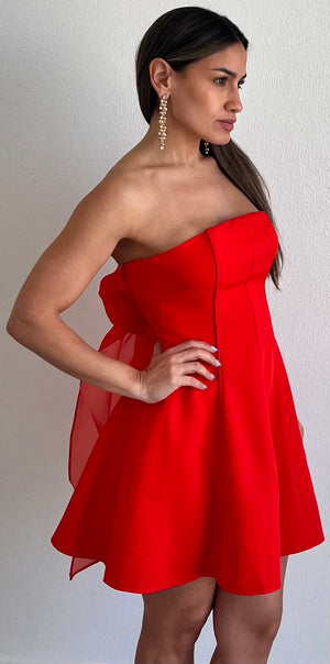 Adorably Iconic Red Bow Fit & Flare Dress