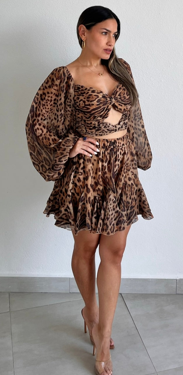 Fierce Style Leopard Print Two-Piece Set