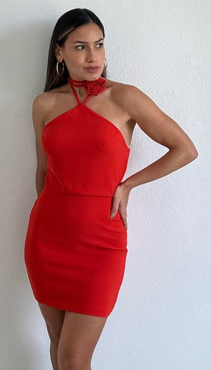 Love and Red Rose Bodycon Mini Dress
