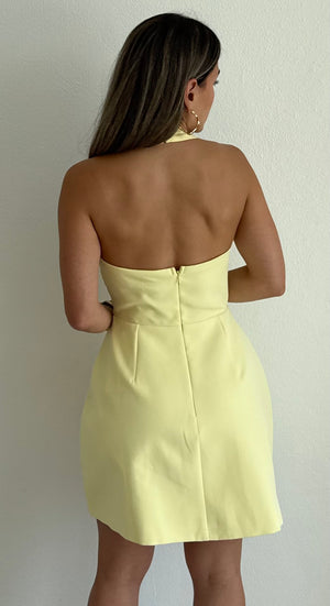 Forevermore Light Yellow Fit & Flare Dress