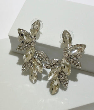 Completely Perfect Silver Stones Earrings