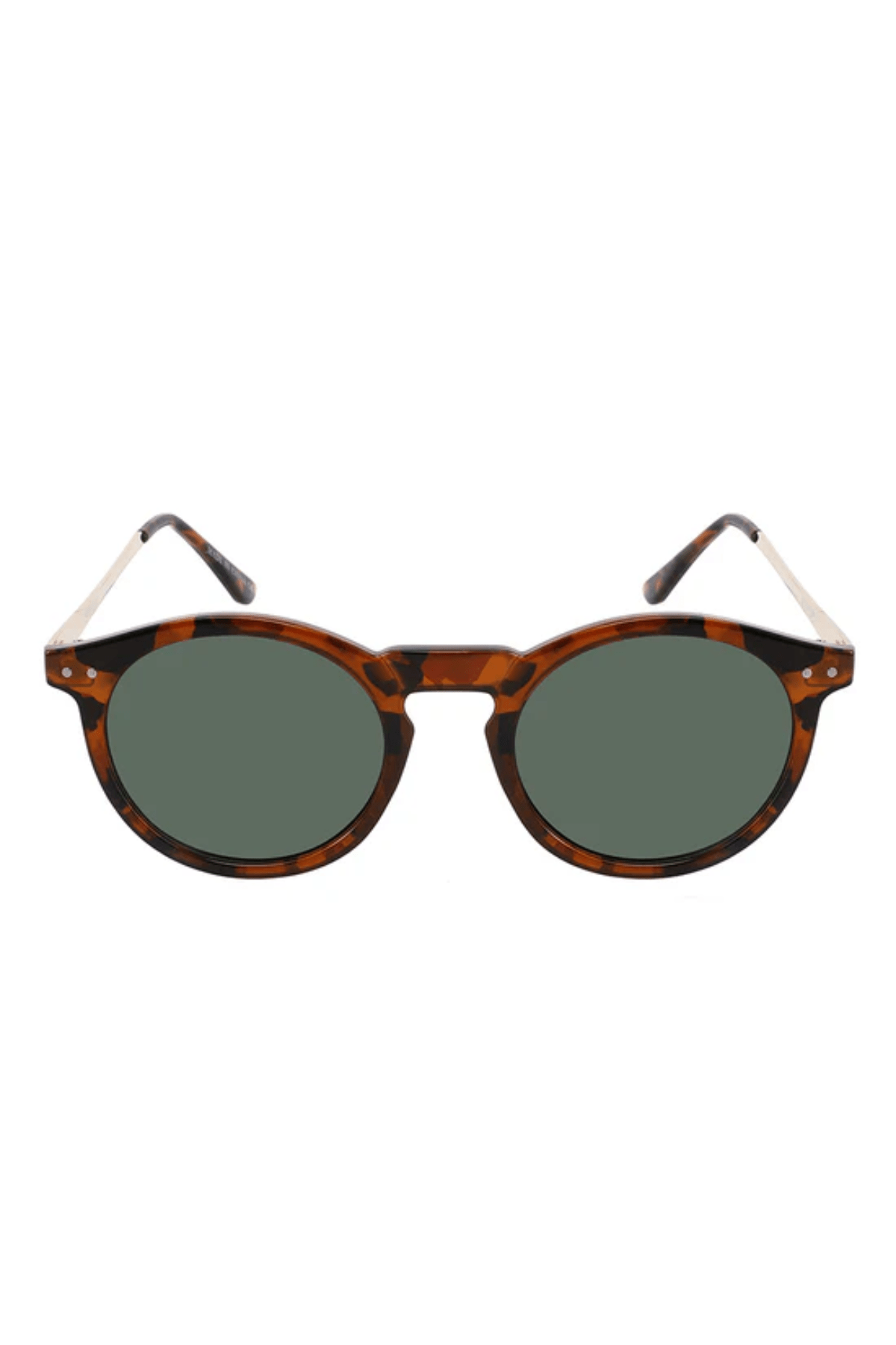 Ashton Polarized