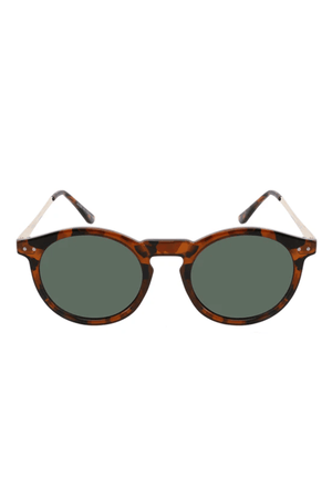 Ashton Polarized