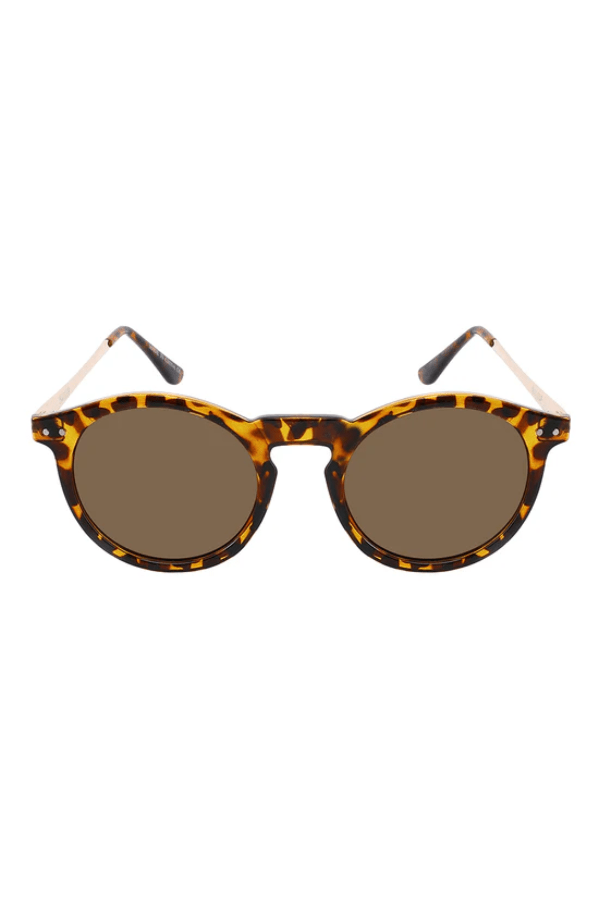 Ashton Polarized