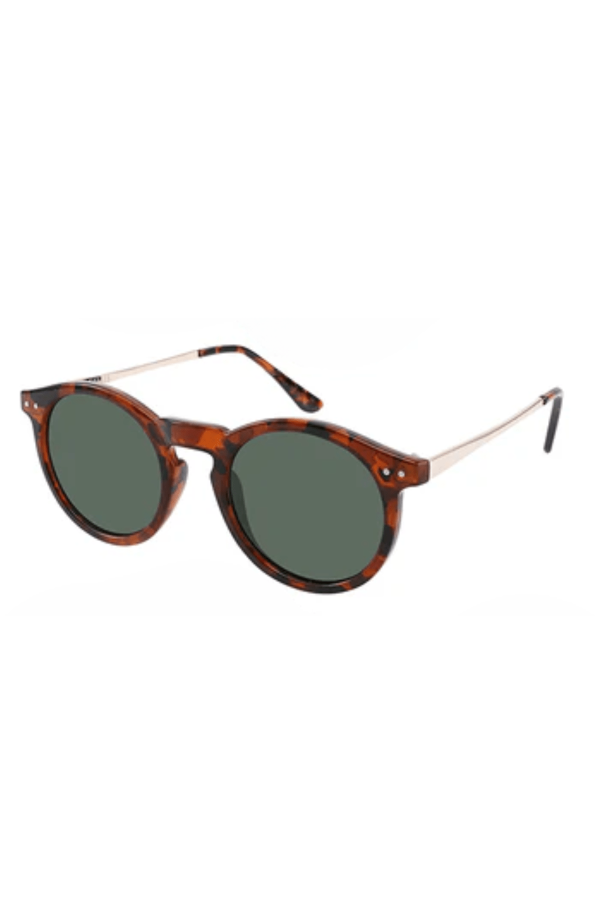 Ashton Polarized
