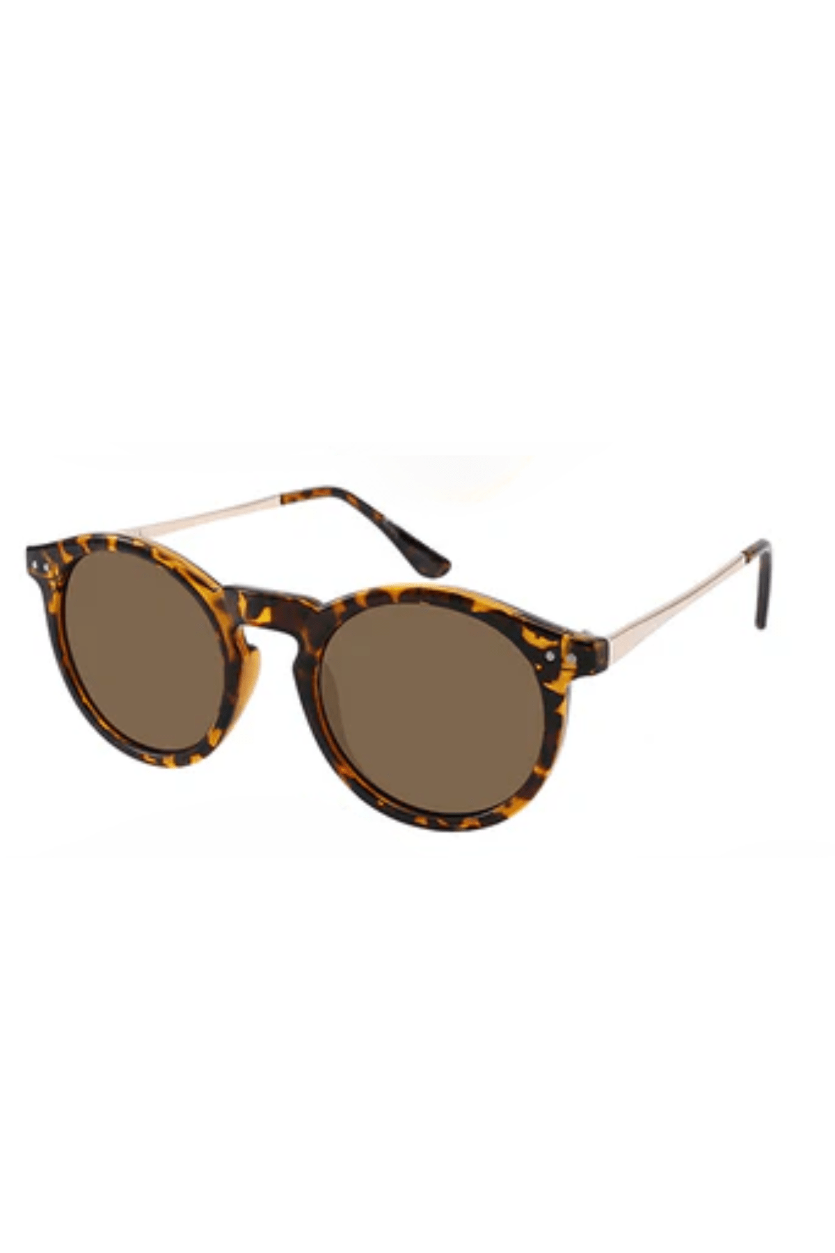 Ashton Polarized