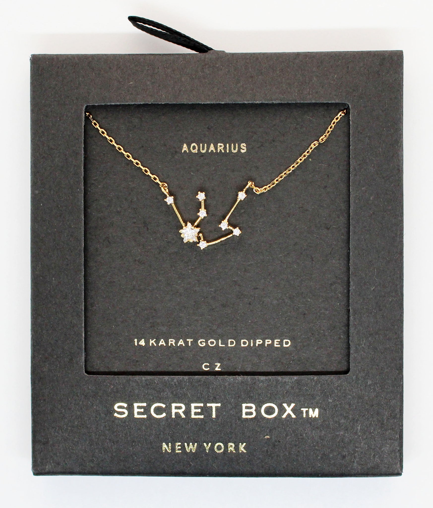 Horoscopes Secret Box Necklace