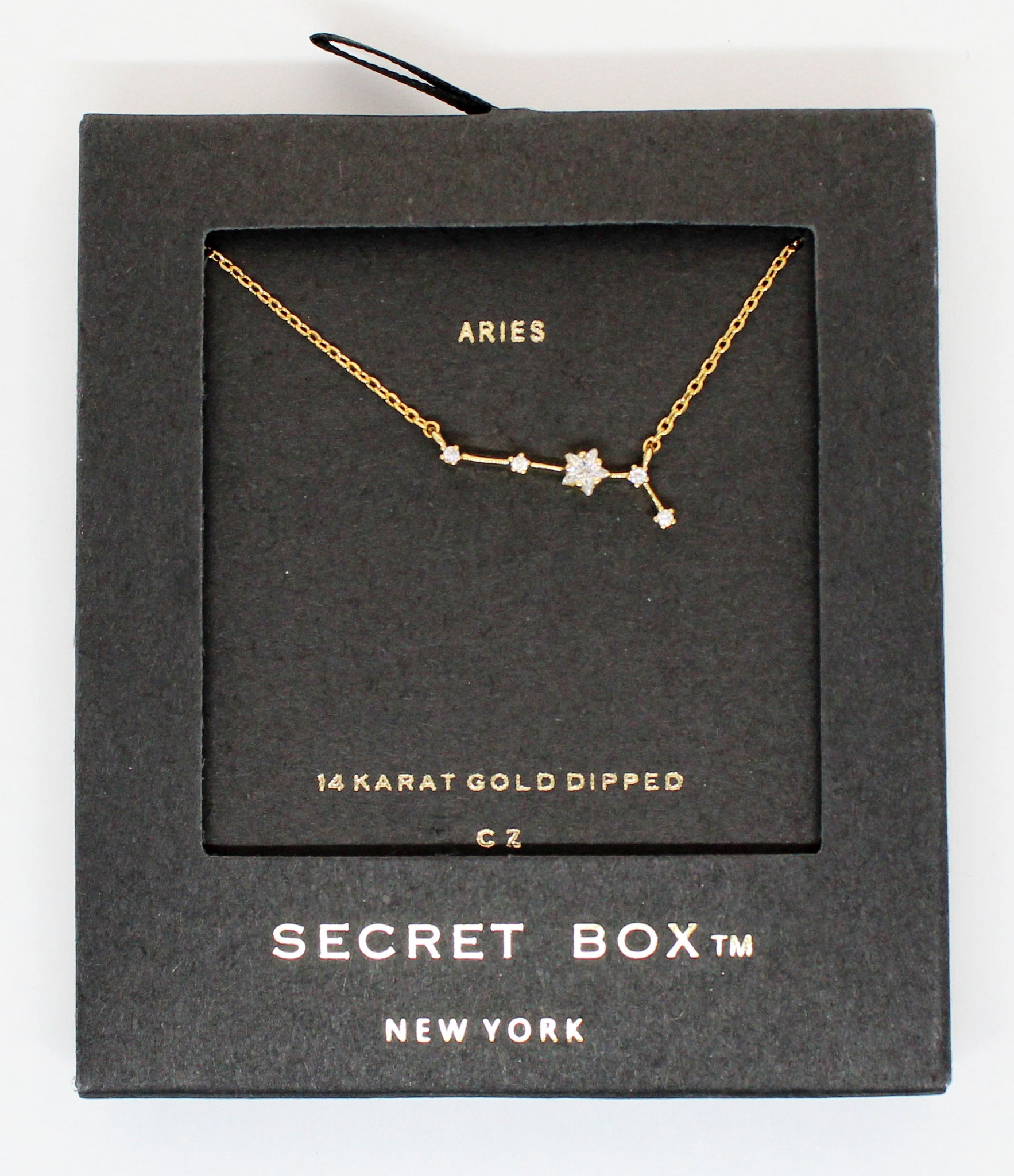 Horoscopes Secret Box Necklace