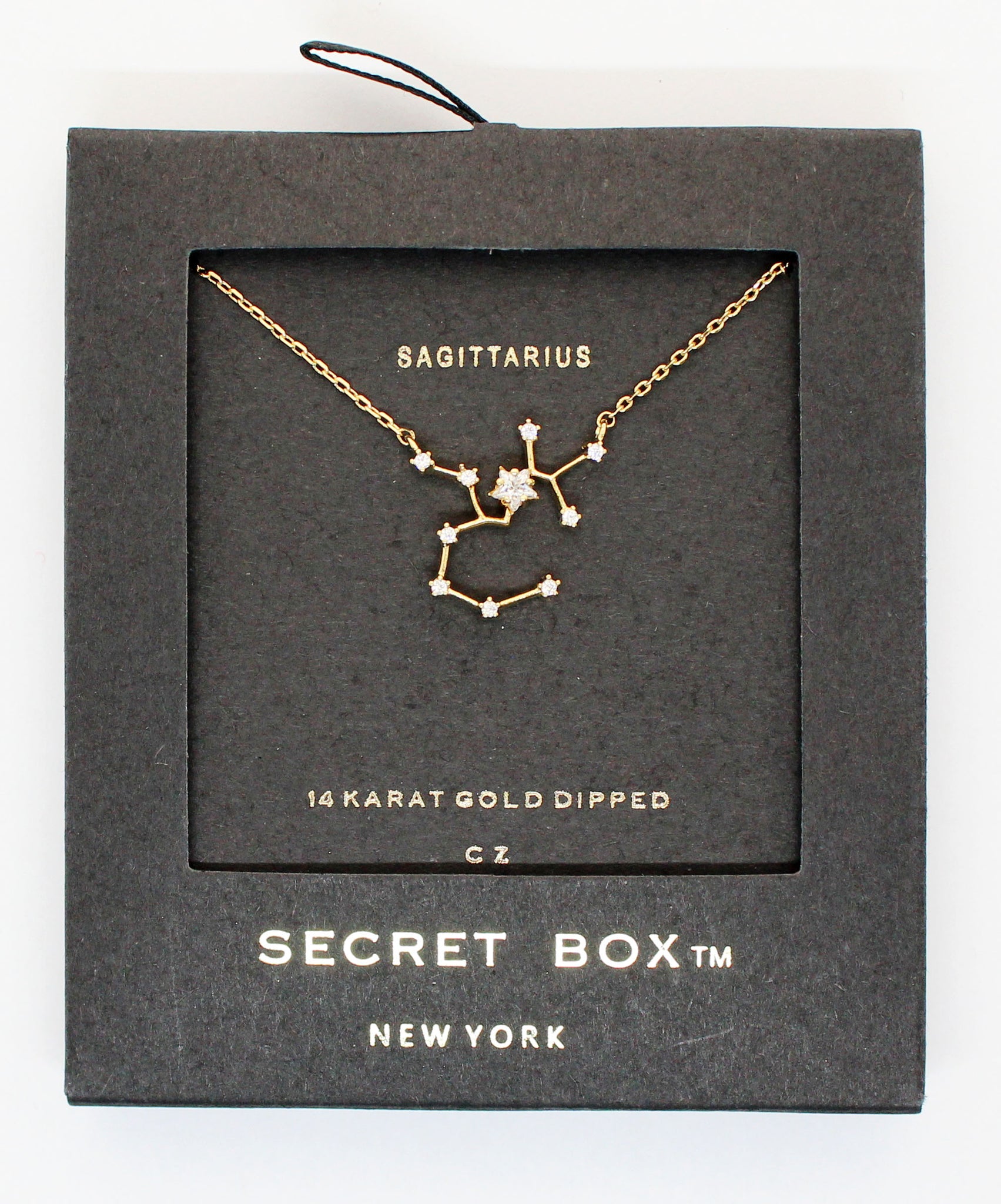 Horoscopes Secret Box Necklace